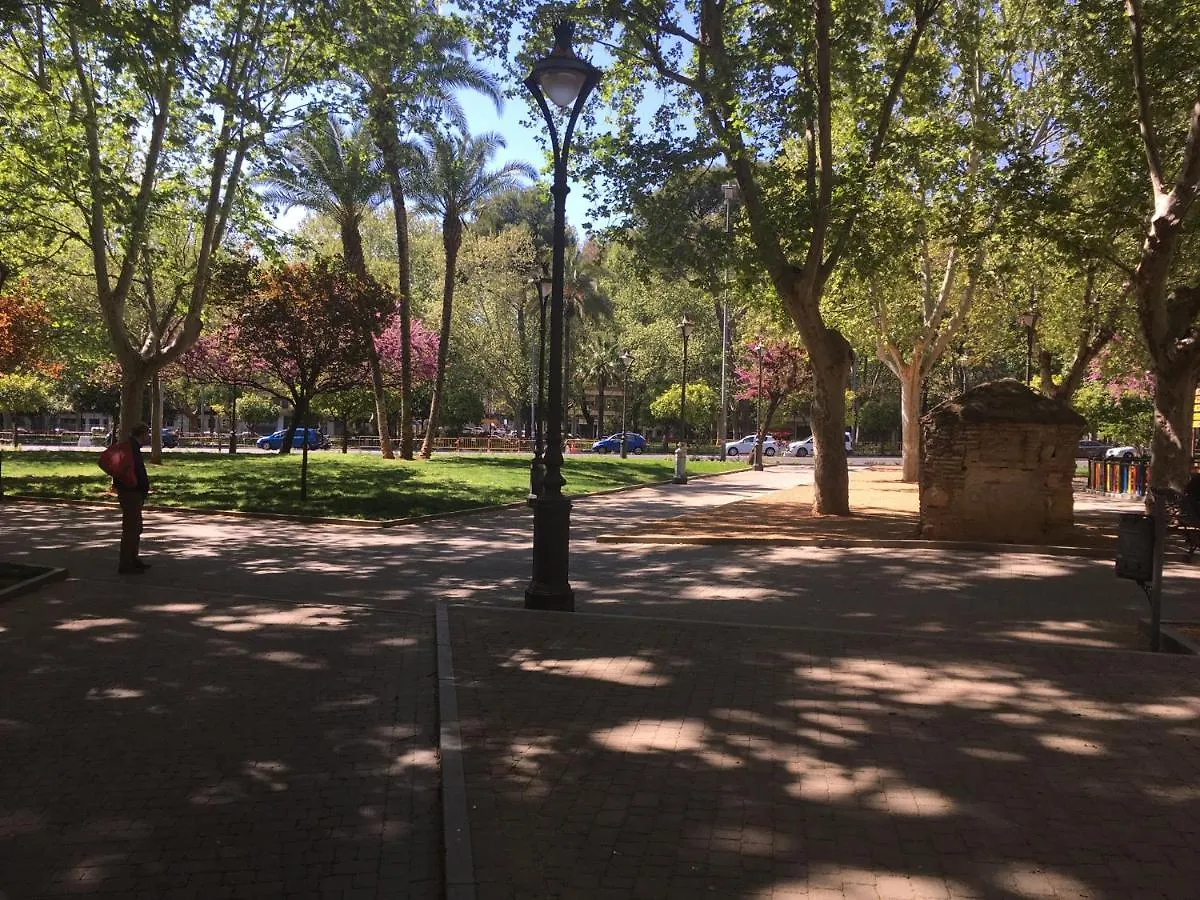 La Condesa De Vallellano Córdoba