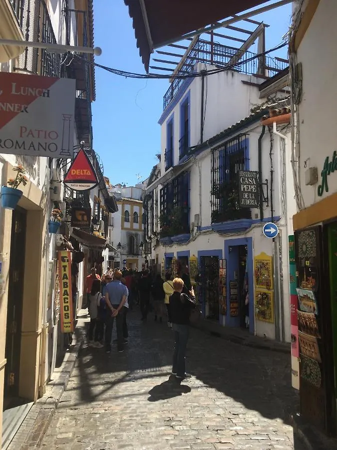 La Condesa De Vallellano Cordoba Apartment