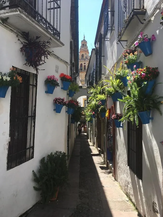 Apartmán La Condesa De Vallellano Córdoba