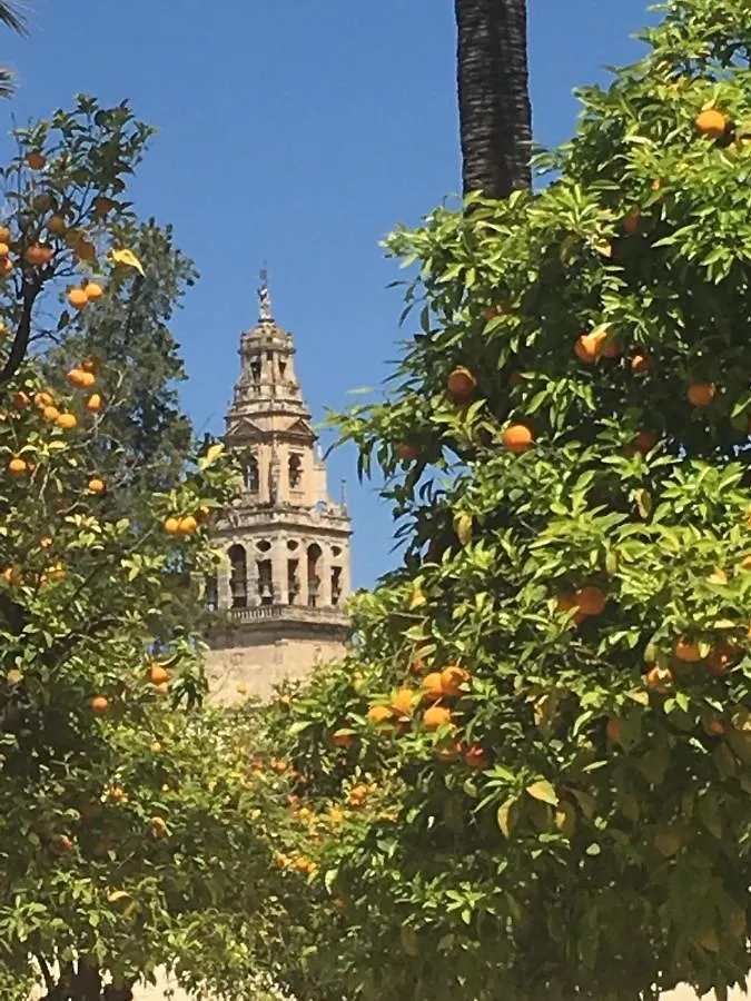 La Condesa De Vallellano Cordoba Spain